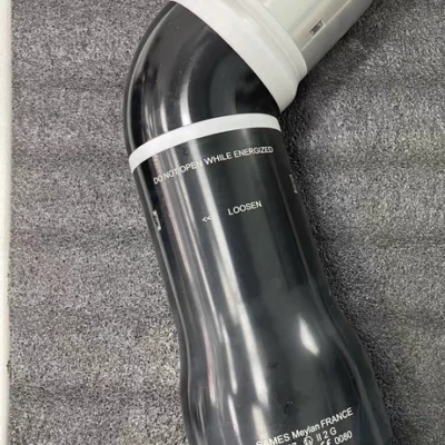 Sames Atomizer Model 900005730-C for Professional Use