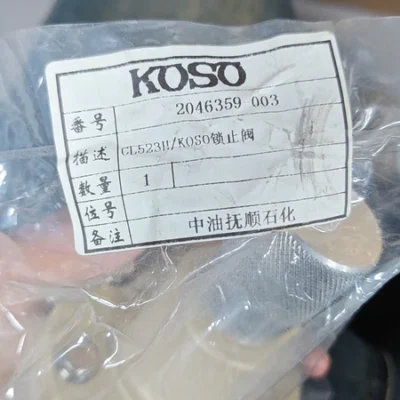 Industrial Hydraulic Lock Valve KOSO CL523H 2046359 003 for Load Holding