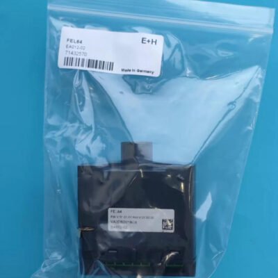 Endress+Hauser FEL64 A012-02 Electronic Insert for Process Control