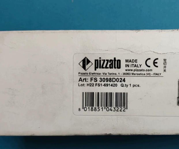 Pizzato FS 3098D024 - High-Quality Safety Switch for Automation
