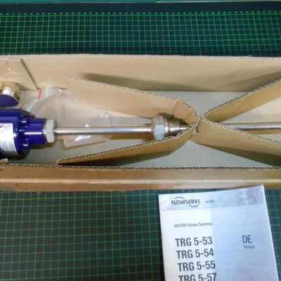 GESTRA TRG 5-53 Industrial Temperature Sensor for Steam