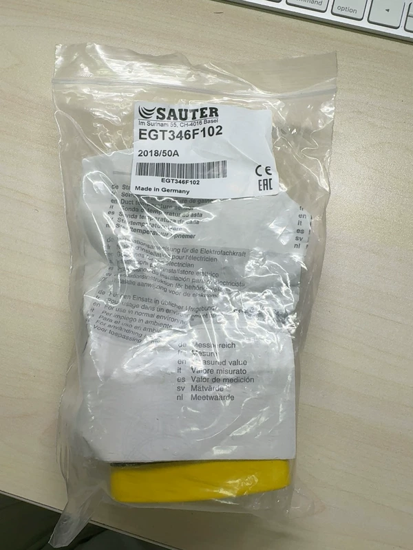 SAUTER EGT346F102 Globe Valve for HVAC Control