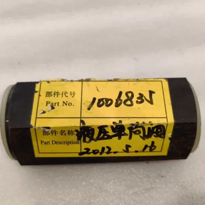 Hydraulic Check Valve other S20A1.0 12W06 for Pump Systems