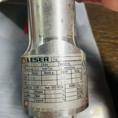 LESER 4374.3142 Safety Valve for Industrial Pressure Control